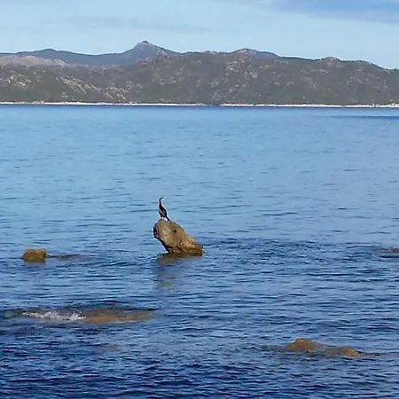 Terremer * Patrimonio