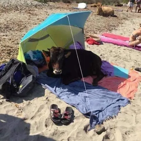 Gæstehus Terremer *