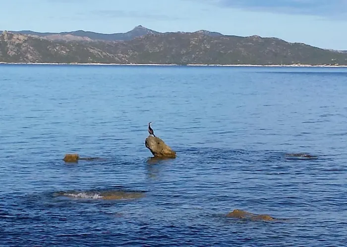 Terremer * Patrimonio