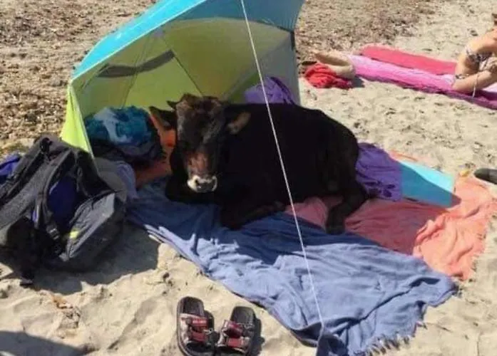 Vendégház Terremer *